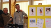 frelon7 [Commune de Taupont 800x600].JPG
