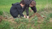 plantations GBO+école communale 005 (Copier)